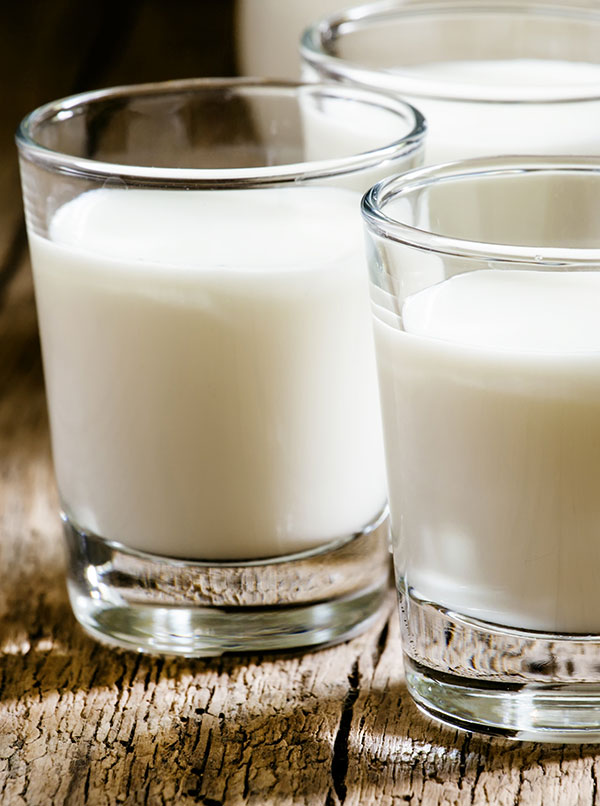 Latte di Capra: ecco quanto lattosio contiene | Girau